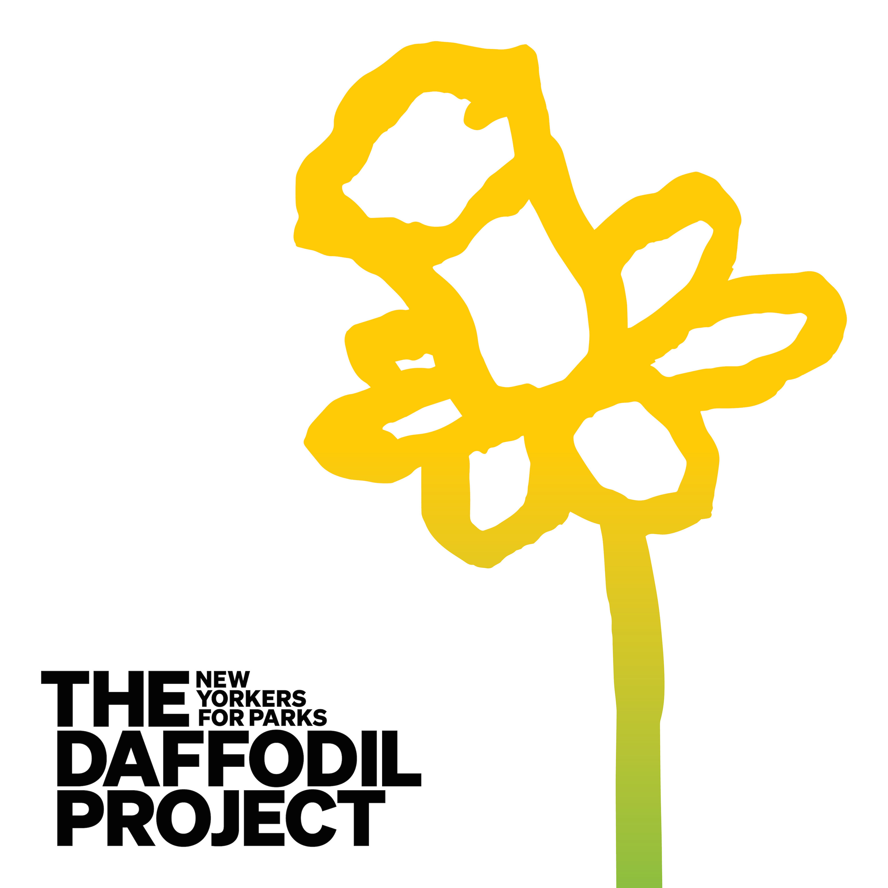 Daffodil Project Logo